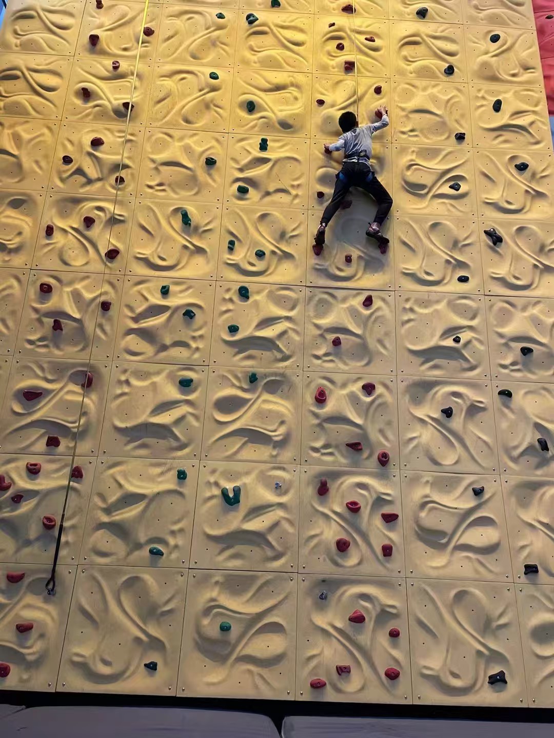 Climbing on an indoor wall, seen from behind