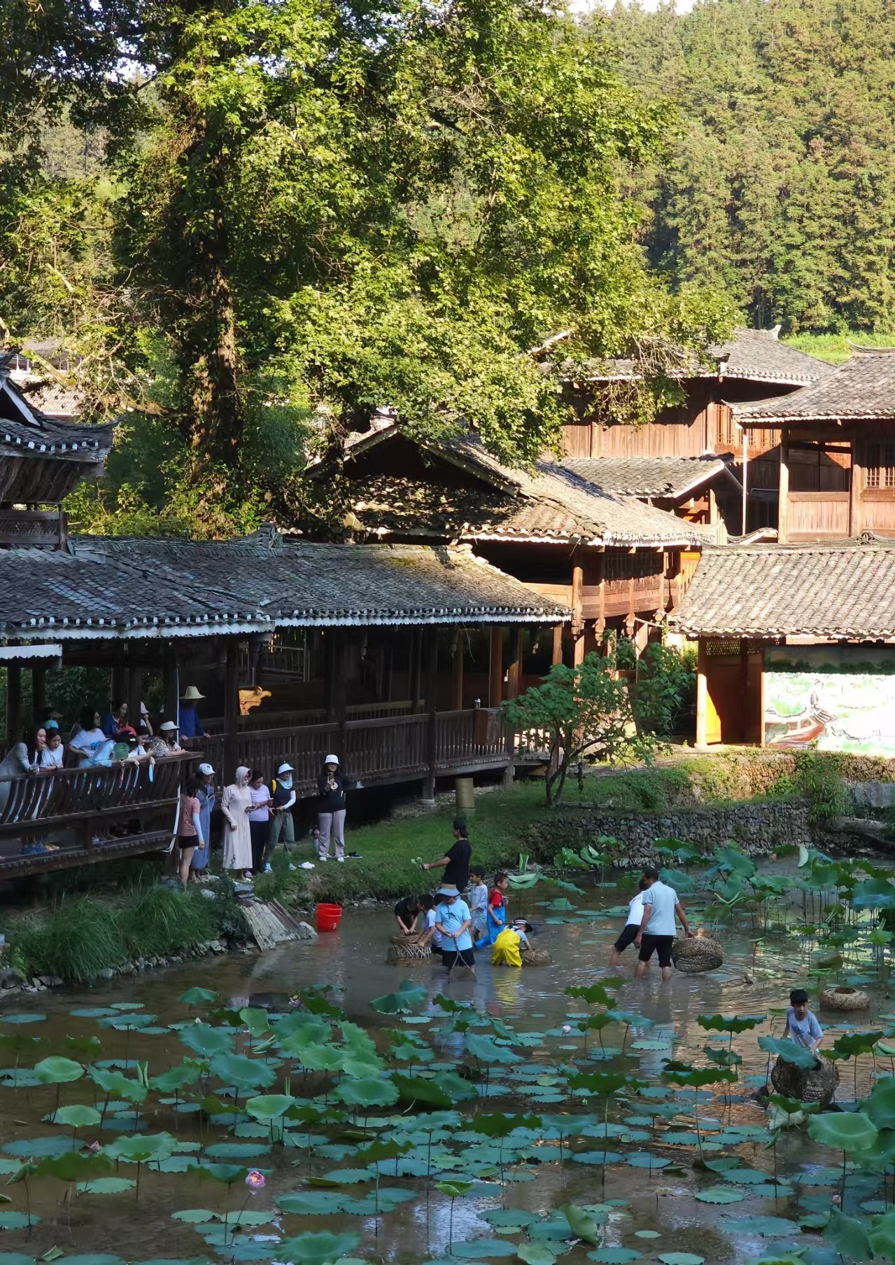 Traditional Dong minority village architecture and daily life during a field-work volunteer trip